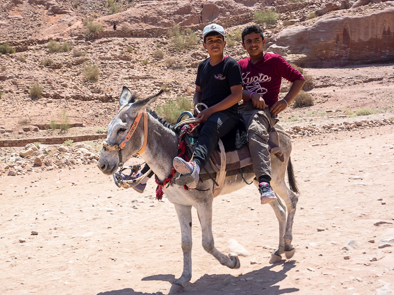 Jóvenes beduinos a lomos de burro