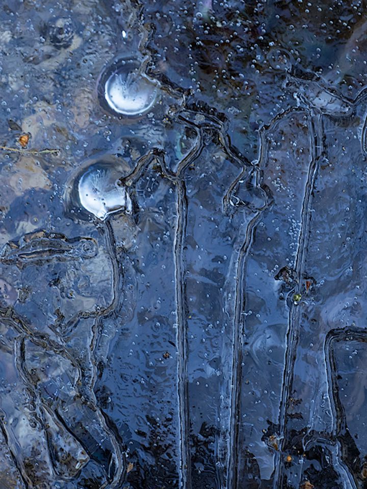 Abstracciones en el hielo