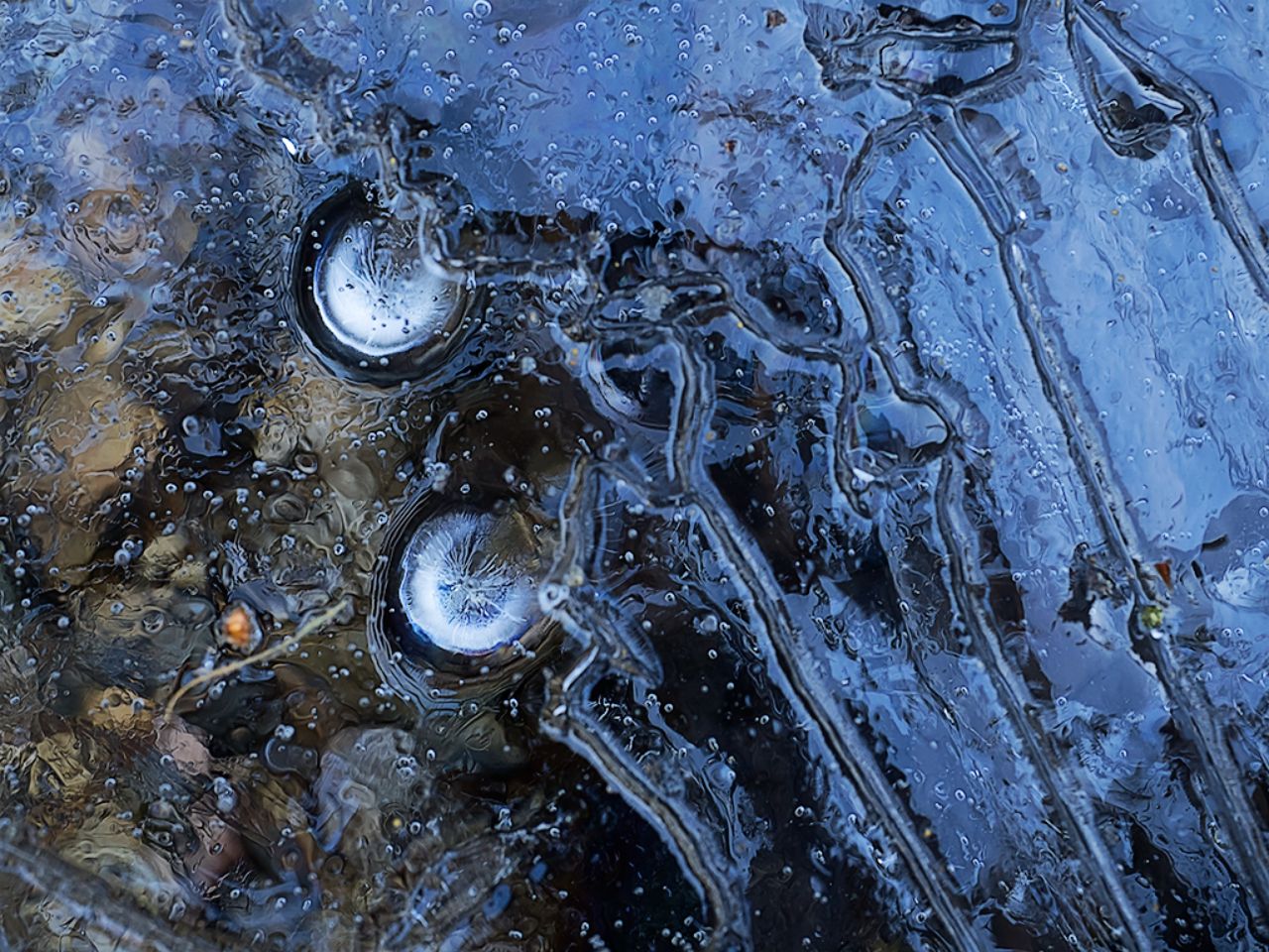 Abstracciones en el hielo