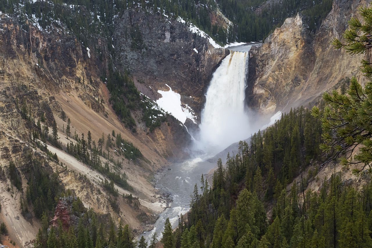 La Gran Cascada del río Yellowstone se desploma desde 93 metros de altura