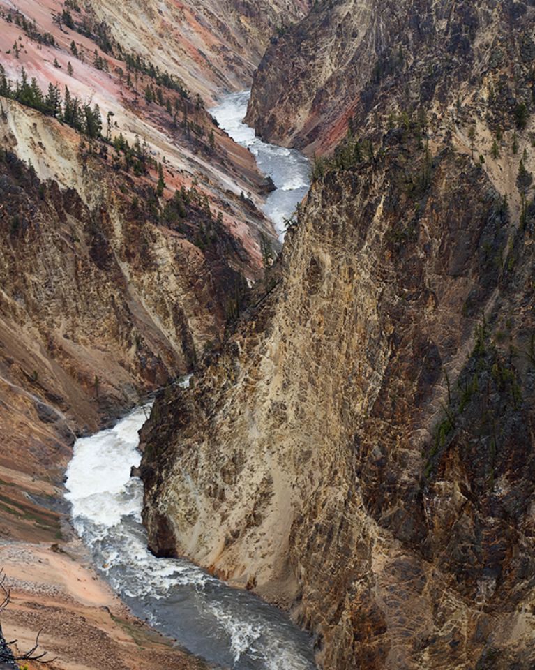 El cañón del río Yellowstone