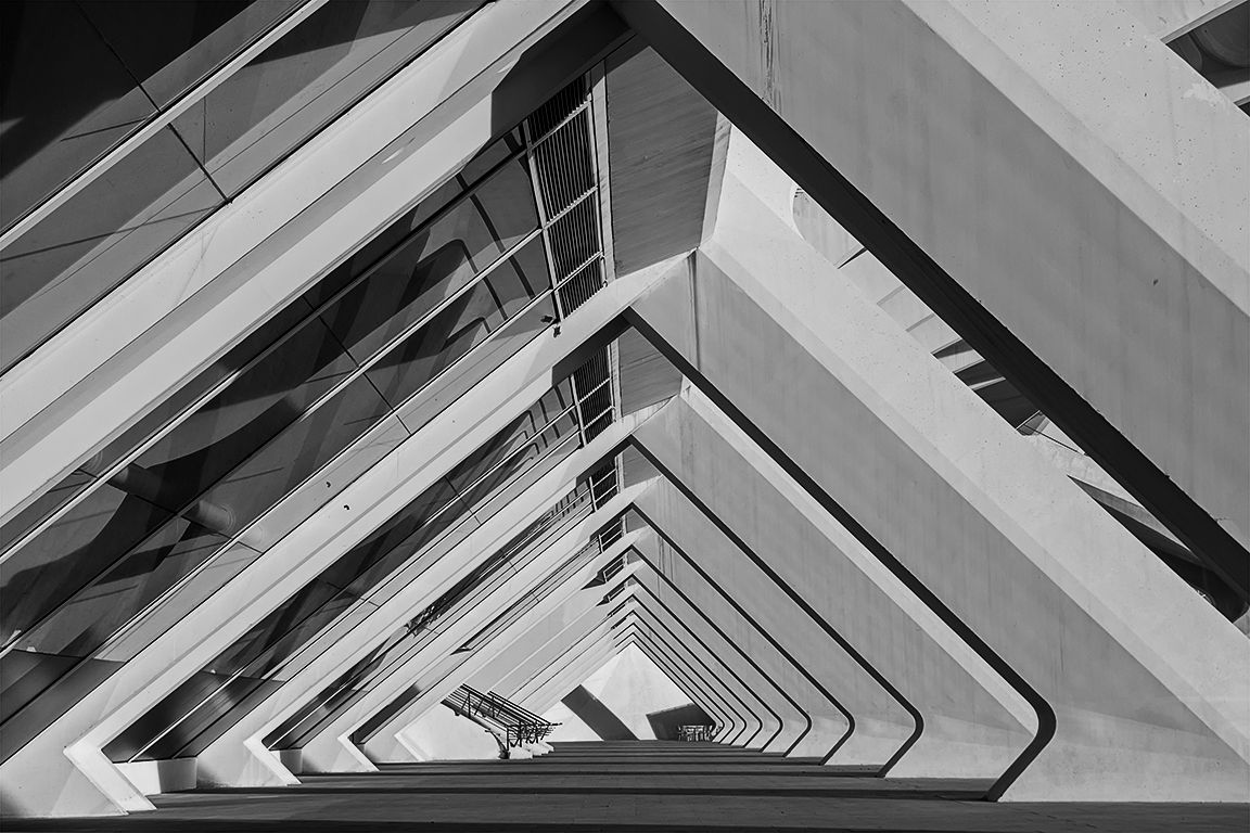 Valencia. Ciudad de las Artes y las Ciencias