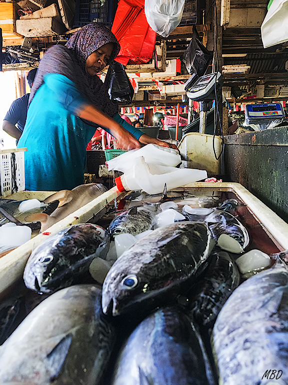 Jimbaran. Mercado de pescado.