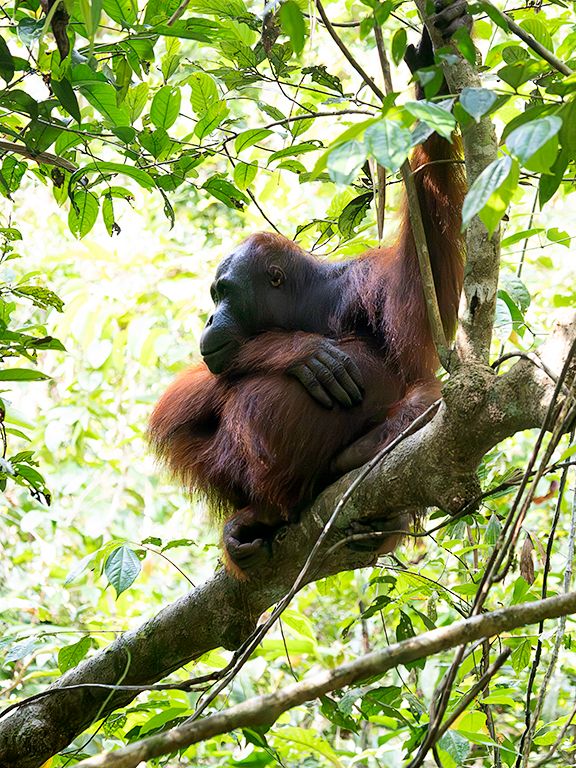 El primer avistamiento. Emocionante.
