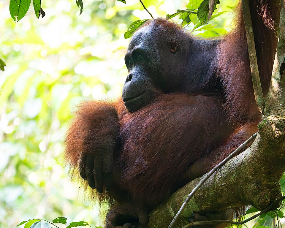 El primer avistamiento. Emocionante.