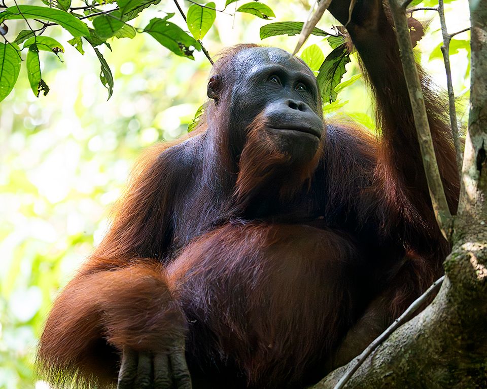 El primer avistamiento. Emocionante.