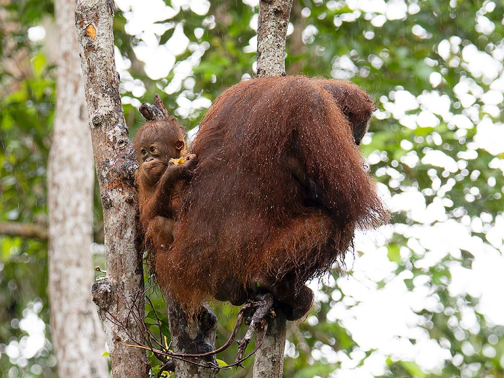 Empieza el chaparrón