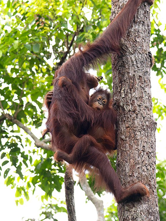 Este peque ya está grandecito
