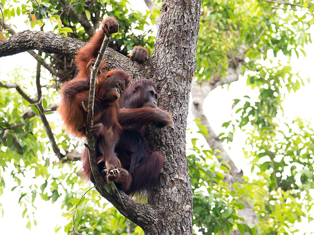 Este peque ya está grandecito