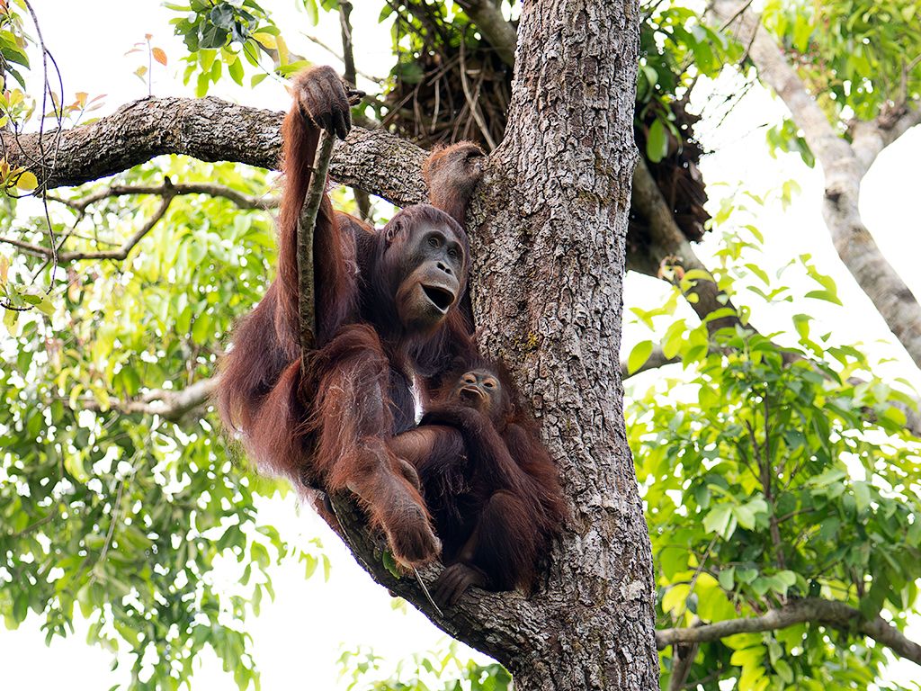 Este peque ya está grandecito
