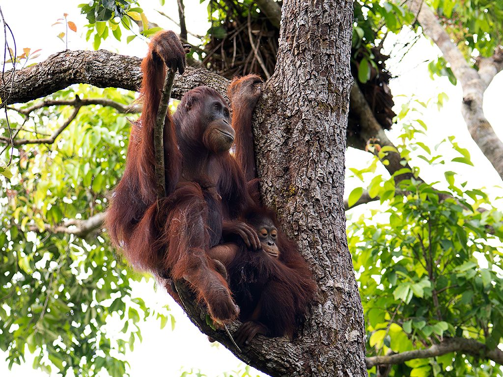 Este peque ya está grandecito
