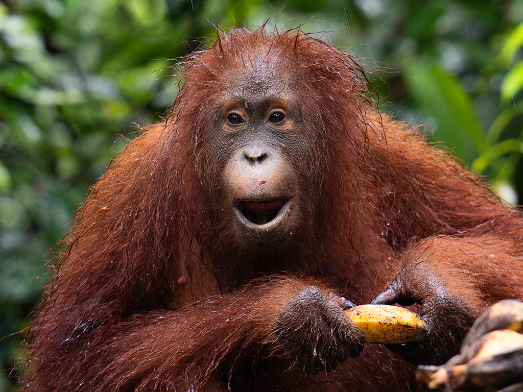 Disfrutando del almuerzo