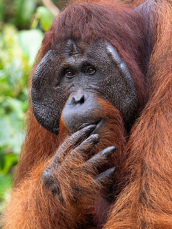 Para chuparse los dedos