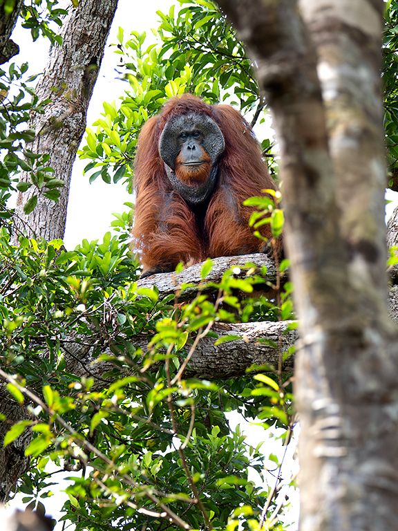 Un porte impresionante