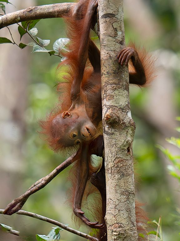 Qué divertido es esto!