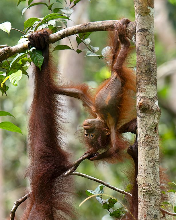 Qué divertido es esto!