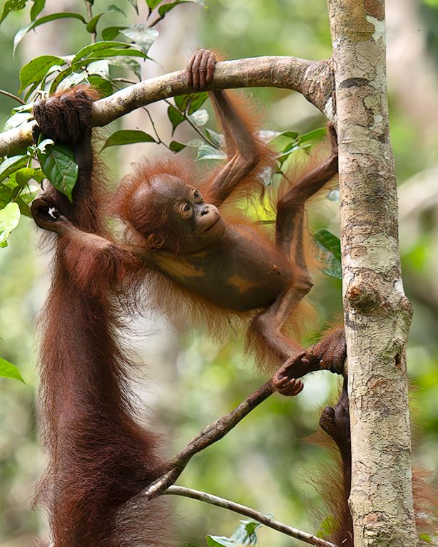 Qué divertido es esto!