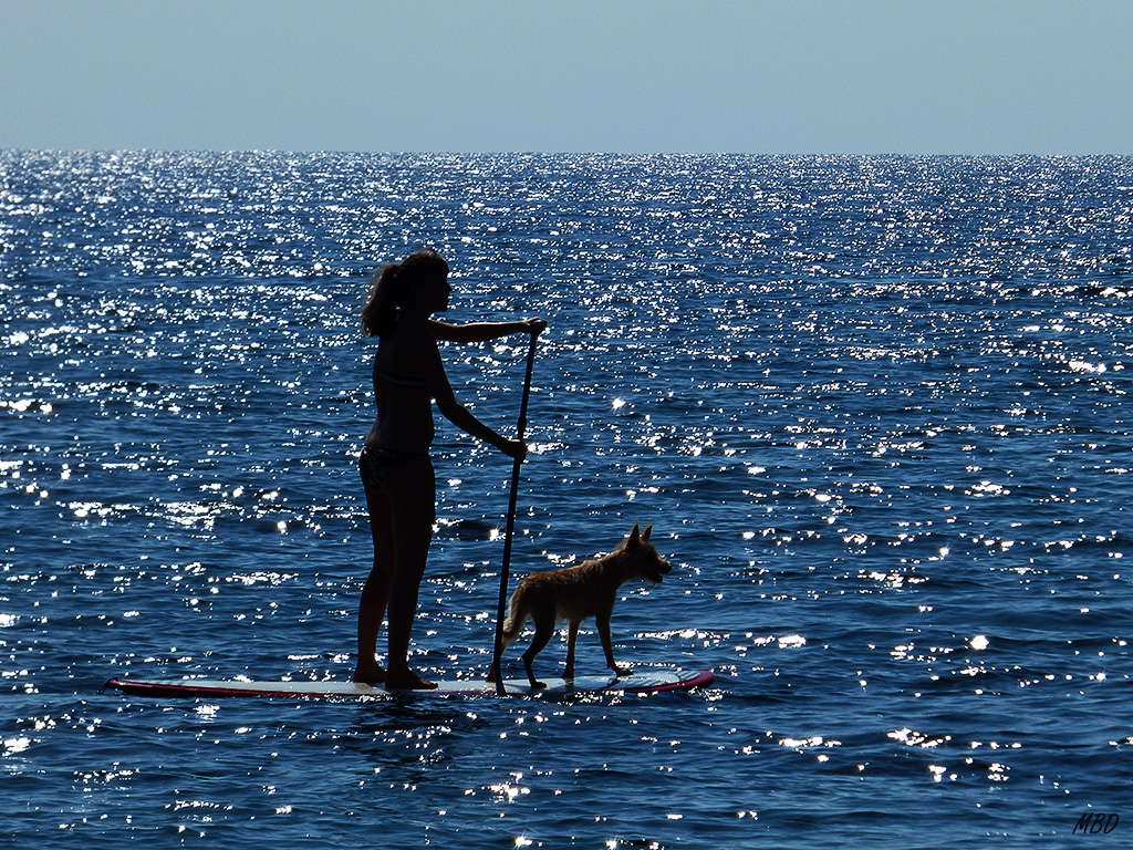 Cabo de Gata, sep2014. Me llamó la atención la imagen de complicidad de los surfistas.