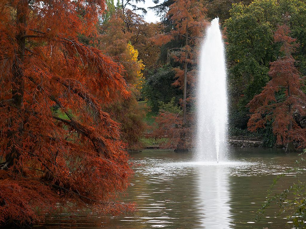 Otoño en el Palacio de Cristal