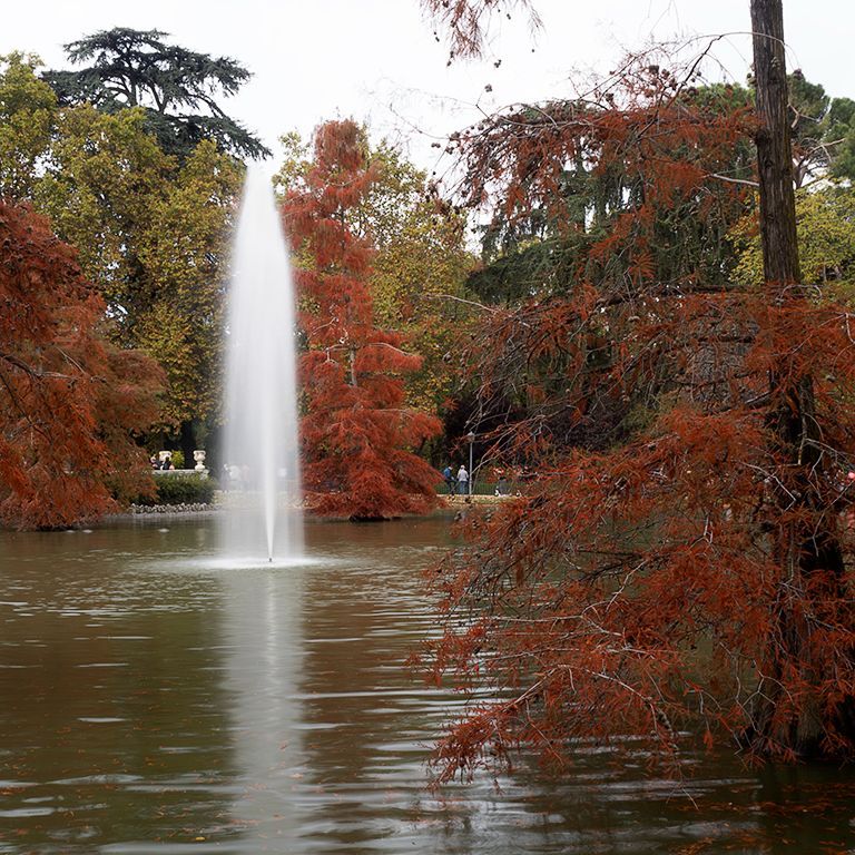 Otoño en el Palacio de Cristal