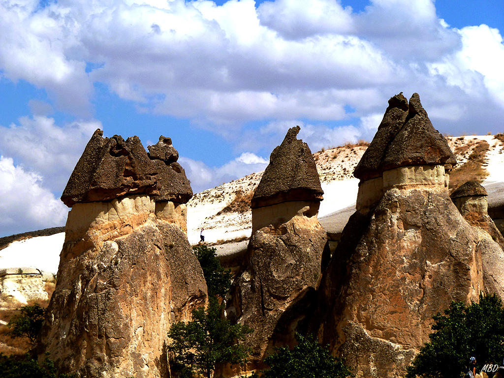 Capadocia. Valle de Paşabağ