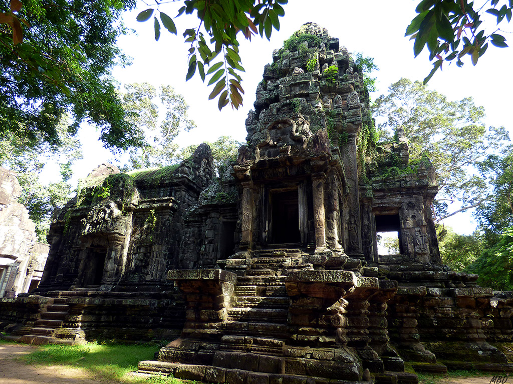 Camboya - Siemp Reap - Templo de Ta Prohm